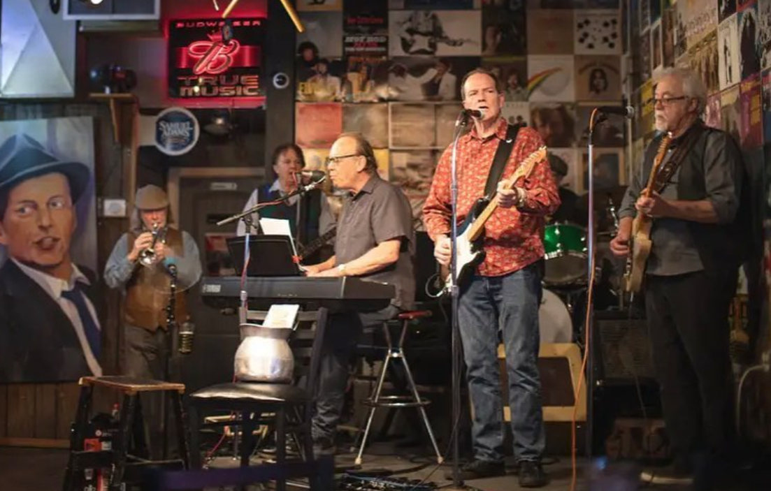 An Image of the band the Reverb Brothers